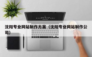 阜新沈阳专业网站制作方案（沈阳专业网站制作公司）